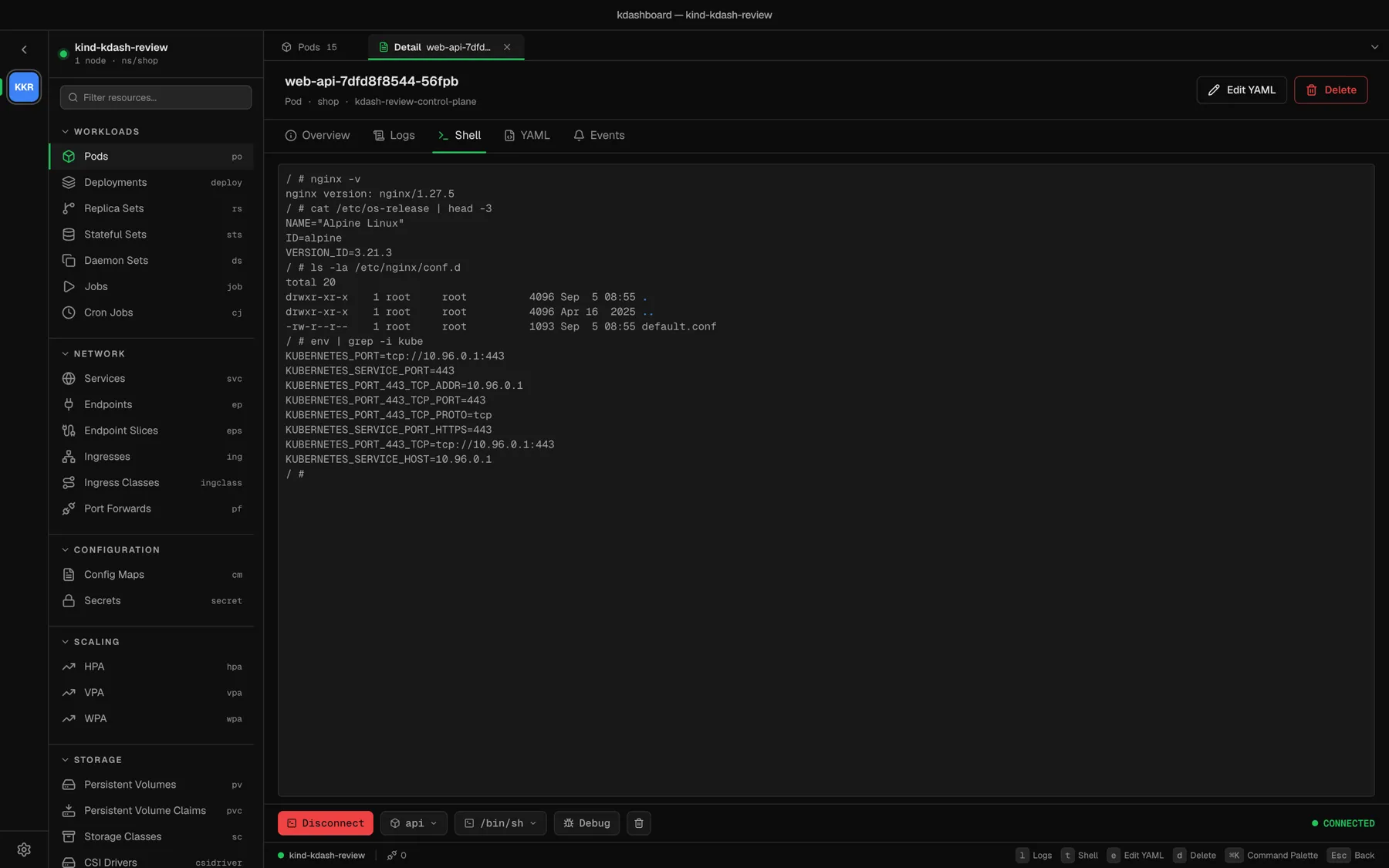 An interactive shell inside a container